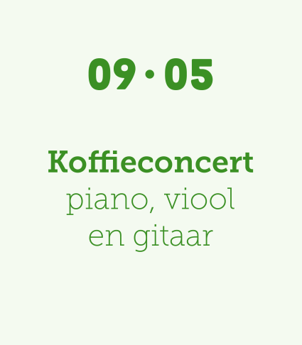 Koffieconcert piano, viool & gitaar